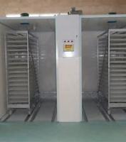 Incubadora automática da única fase 90 graus que gerenciem com as 384 bandejas