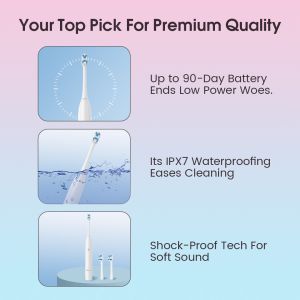 Vente à chaud OEM Brosse à dents électrique rechargeable Type-C IPX7 Dentiste Ligne de nettoyage LED Brosse à dents électrique