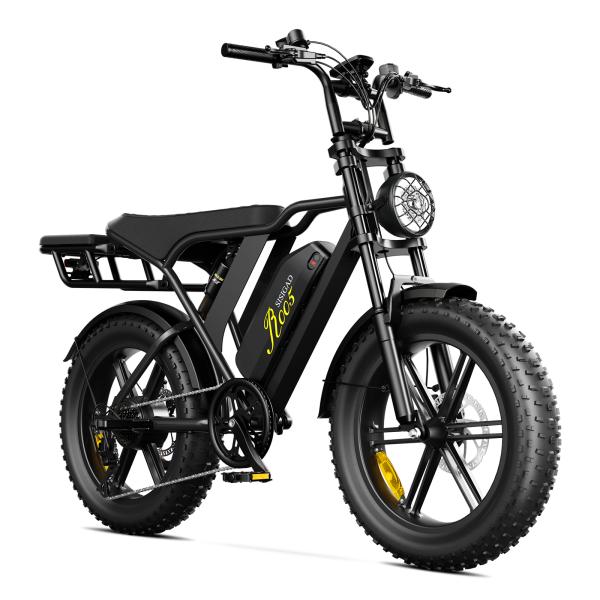 E-Bike 20inch 750W Fat Tire Bike Seater Electric Off-Road Mountain Bike with 48v Battery Steel Frame Best Price