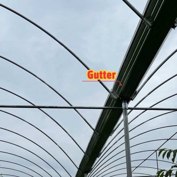 PE Film Cover Rain Shelter Greenhouse with Hot Galvanized Steel Frame for Easy Assembly and Plants Cultivation