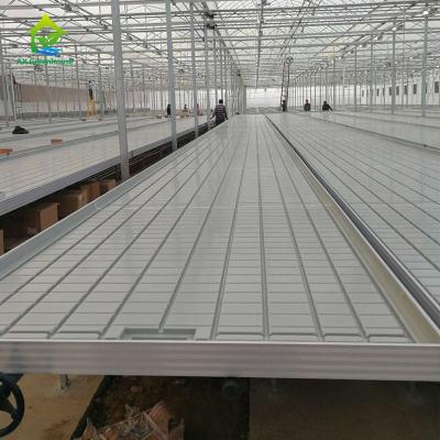 50KG/M2 Ebb And Flow Rolling Benches Nursery Seedbed Hydroponics Flood Tray