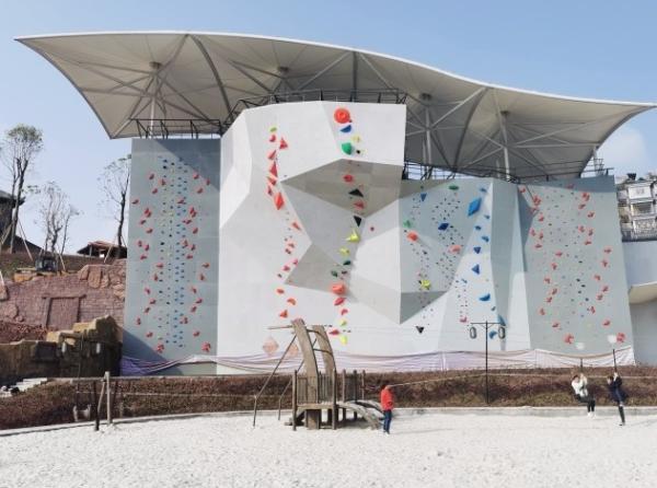 Large Climbing Wall Rock Climbing Holds for Finger Strength Training and Climbing