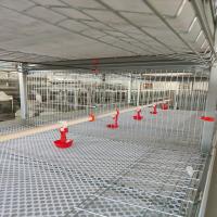 sistema bebendo das aves domésticas 360degree, sistema do bebedor do bocal das aves domésticas de SONCAP 2-3