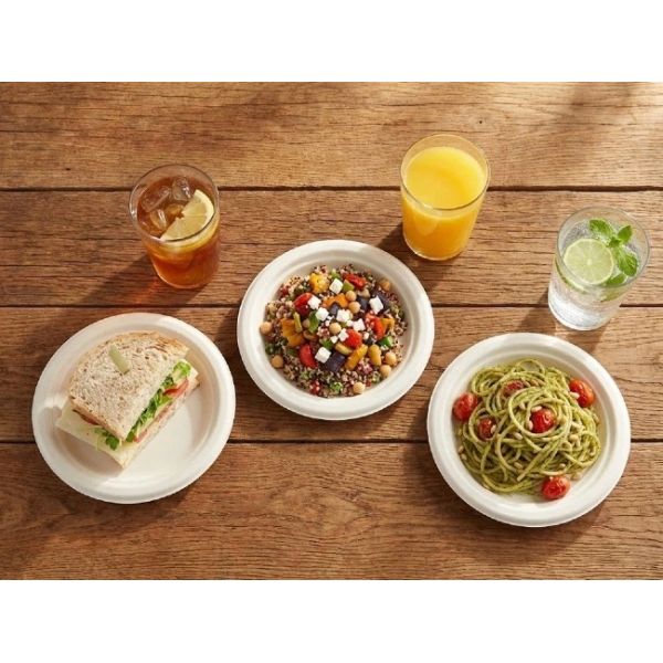 Bleached White Biodegradable Bagasse Sugarcane Plates 7 Inch OEM