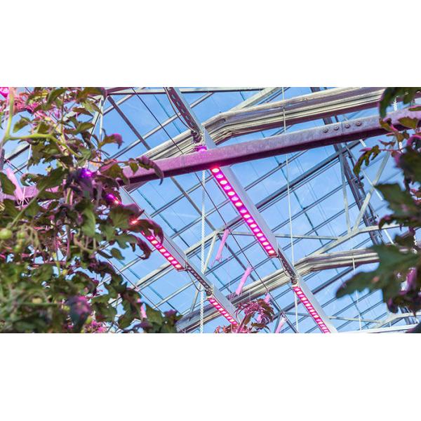 120W LED Plant Grow Light Epistar / Bridgelux LED Chip 1200*50*50mm Dimension