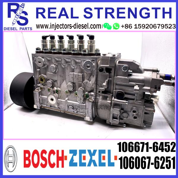 Собрание насоса инжектора дизельного топлива 106671-6452 106067-6251 для ДИЗЕЛЯ ZEXEL