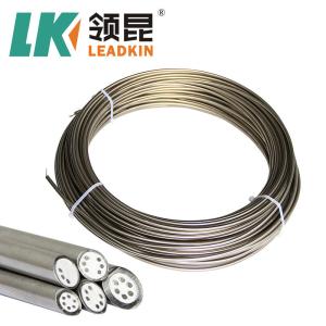 K Type Mineral Insulated Thermocouple Cable SS304 Sheath 0.5mm 2 Core