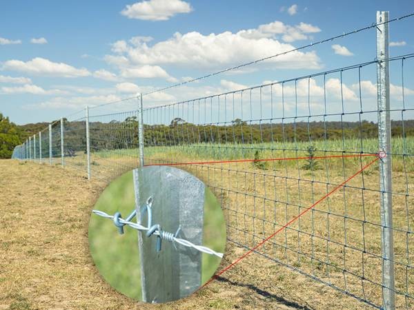 45cm Length Galvanised Star Pickets , 2.04kg Steel Star Picket