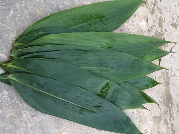 Eco Friendly 33cm Fresh Bamboo Leaves For Sushi Food