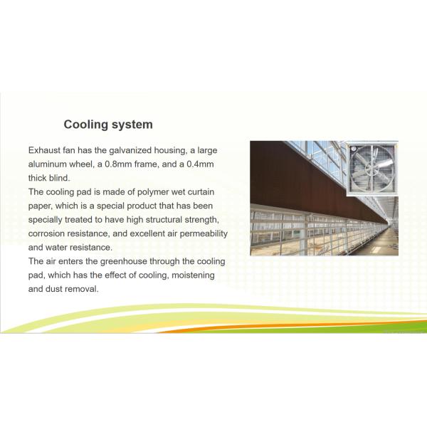 Invernadero de vidrio comercial de cultivo agrícola con sistema hidropónico de ancho 9,6 m