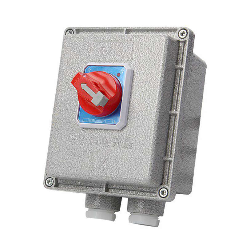 Square Double Pole Explosion-Proof Circuit Breaker IP65 Ex Db Eb Iib T6 6ka Surface Mount AC220/380V Industrial Use

