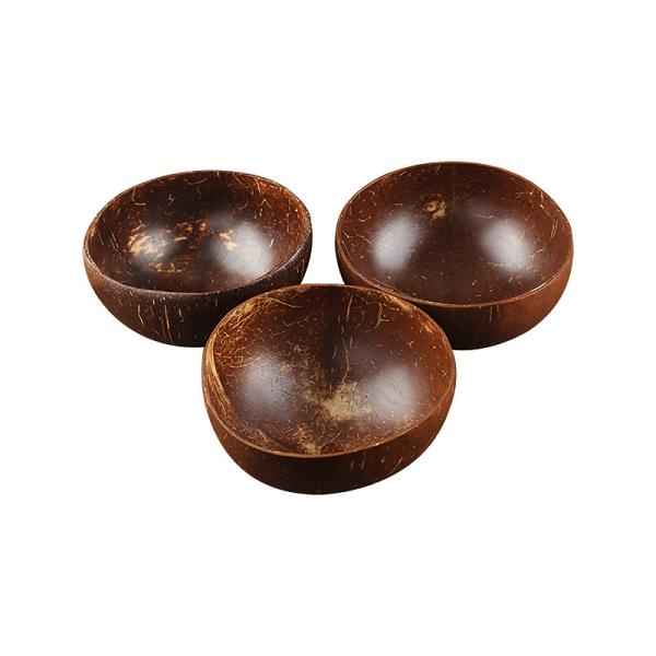 Eco-Friendly Coconut Bowl and Spoon Set with Personalized Logo Durable Dinnerware Type