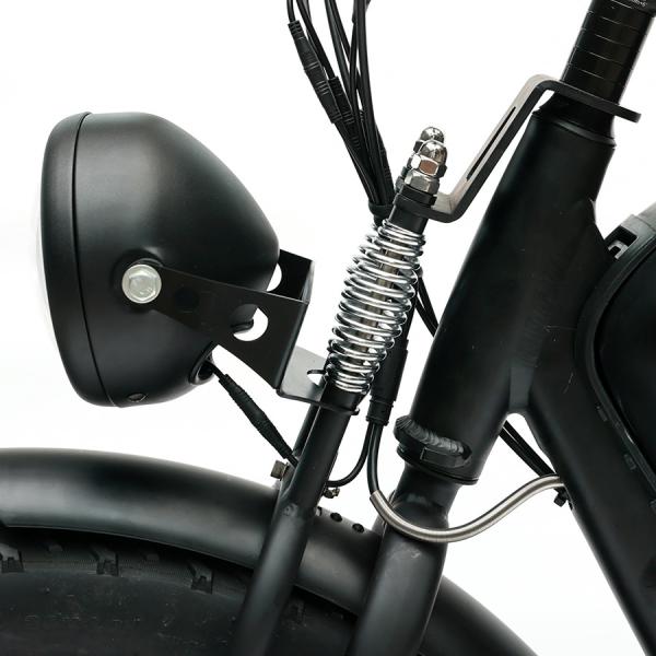 48V750w Vintage Fat Tire Motorcycle with 7 Speed Gears and 48V20A Lithium-ion Battery