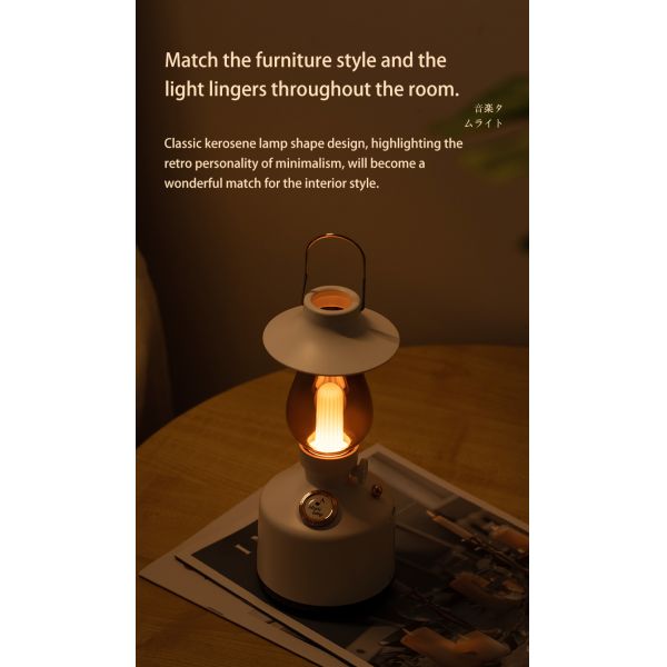 Plastic Ultrasonic Aroma Air Humidifier Household Use With Music Speaker Lamp