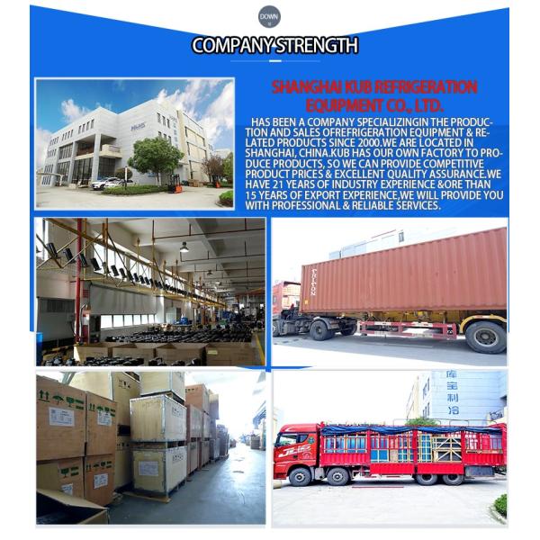 C-SBP170H36A 3ph, 60Hz, compressor de Panasonic do compressor do rolo do compressor R410A do condicionamento de ar 208-230V