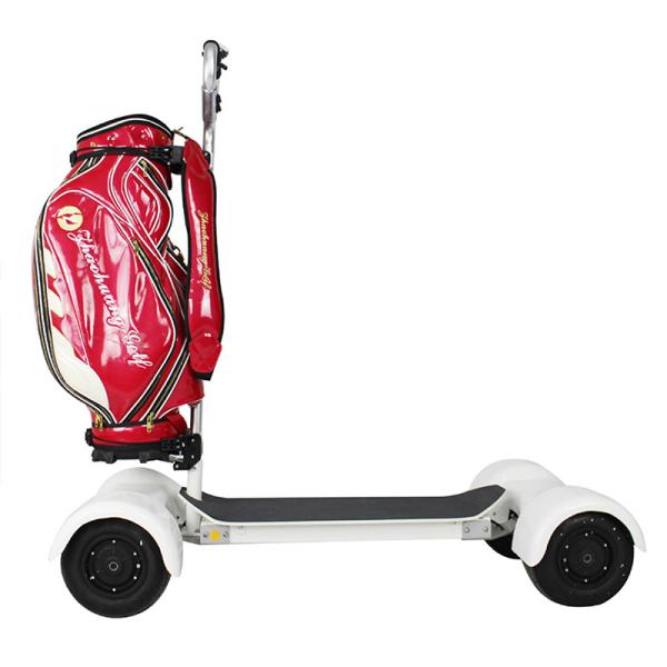 10 Inch Four Wheels Powerful Electric Scooter Electric Golf Scooter 1000w Dual Motor