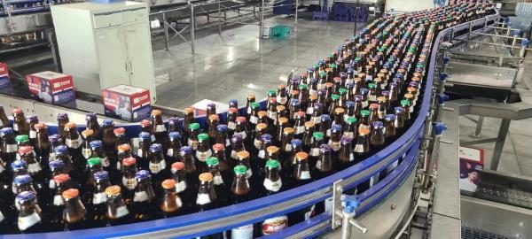 500ml Glass Bottle Beer Production Line Packaging Equipment 18000BPH