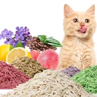 Litter de lait de tofu pour chat en vrac Litter de tofu OEM pour rassemblement Tous les litières naturelles pour rassemblement de chat
