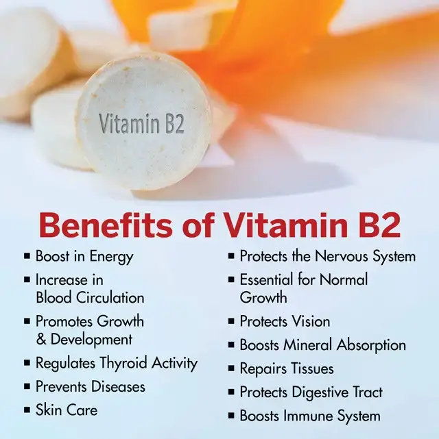 98% Riboflavin Vitamin B2 Powder