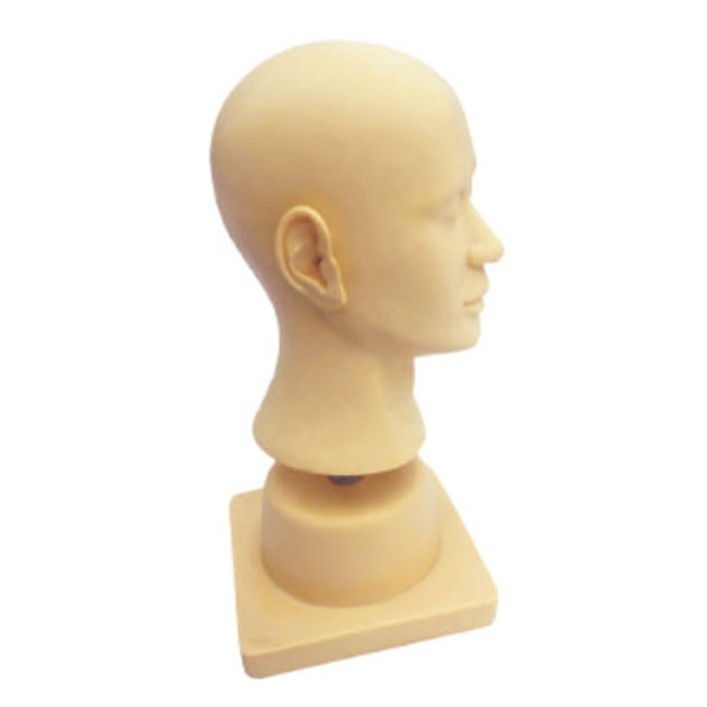 Advanced PVC Plastic Ear Diagnostic Simulator for Otolaryngology Demonstration Tool