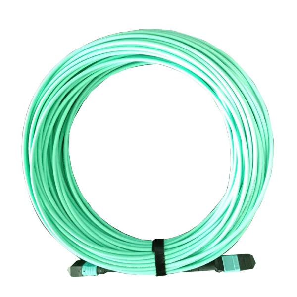 12 Fiber 50/125 OM3 MPO MTP Cable 10Gb Laser Optimized Multimode Patch Cord (3m / 10ft)