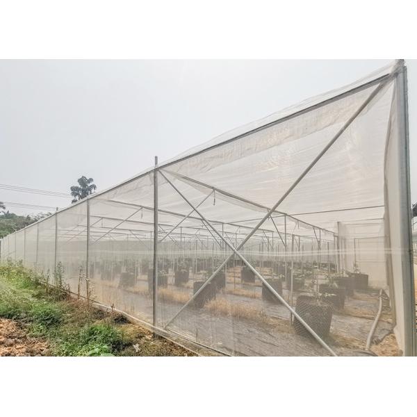 Sin soldadura Insecto Proof Invernadero de trabajo pesado Invernadero de marco metálico