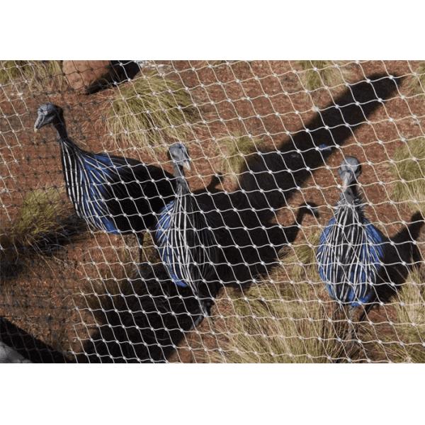 Hot-Dip Galvanized 1m Stainless Steel Rope Mesh For Zoo Enclosures