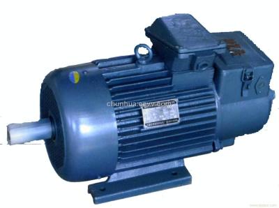Grue standard de cage d'écureuil moteur asynchrone de 3 phases, série d'IP54 YZR