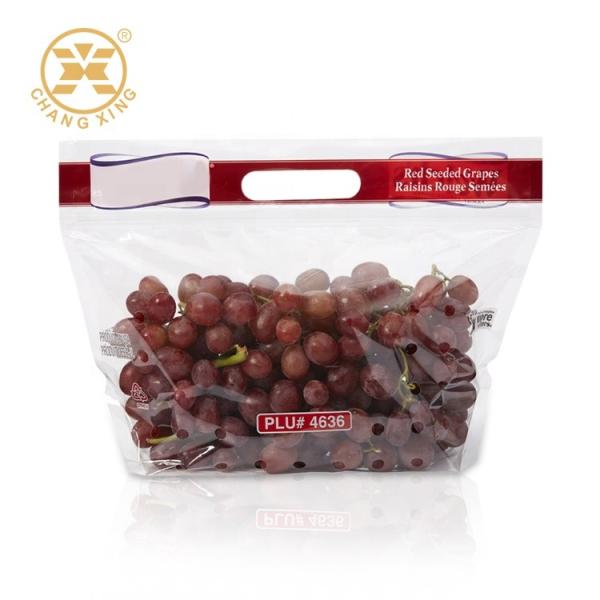 sacos de empacotamento do fruto seco de 100g 500g com furo Cherry Stand Up Pouches Eco fresco amigável
