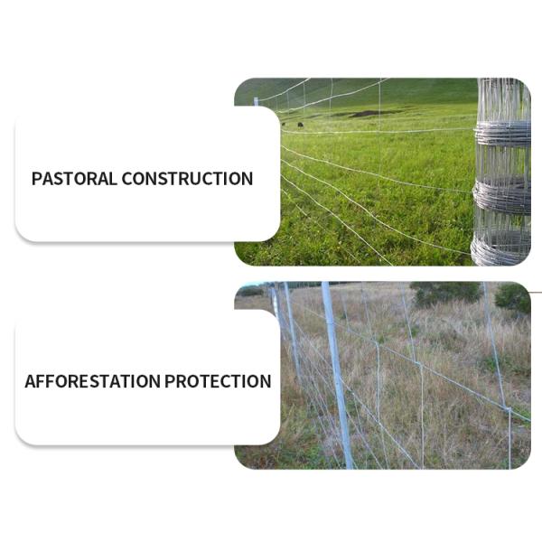 Производители Anping напрямую продают оцинкованные ржавчины прочные проволочные сетки размножения ограждения ограждения скота и овец блок