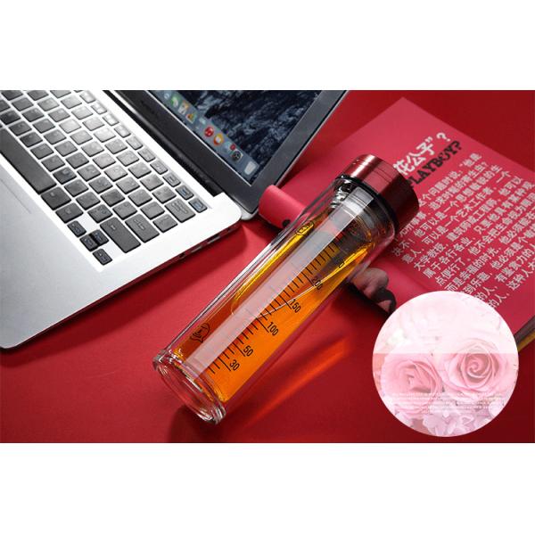 Portable Double Wall Glass Water Bottle With Strainer / Rubber Seal Durable