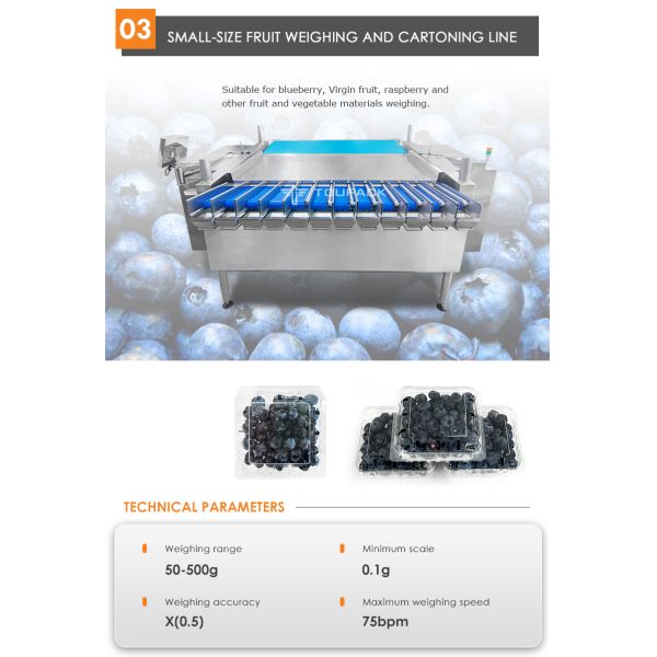 Automatic Cherries, cherry tomatoes, blueberries Fruit Clamshell Weighing & Packaging Line