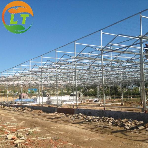 Pressure-Resistant Glass House for Large-Scale Growth of Vegetable Fruits and Flowers