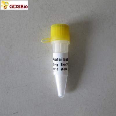 Molecular Biology Grade Proteinase K Powder N9017 1g