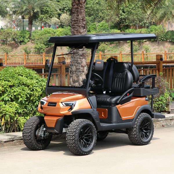 Strong and Elegant 2 Front Seats & 2 Rear Electric Golf Carts Carried 5KW Motor & 48V Lithium Battery