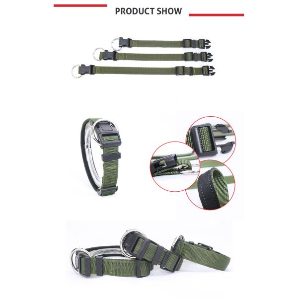 Polyster Nylon Dog Collars High - Impact Plastic Buckle With Green Color