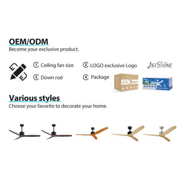 Vento padrão 52 polegadas ventilador de teto com controle remoto e 6 velocidades Mofo privado NO