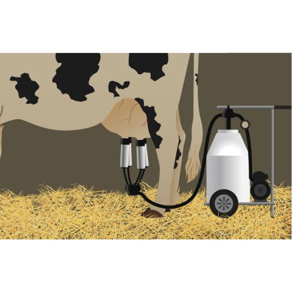 Dairy Farm Equipment Automatic Electric Cow Milking Machine Vacuum Pump
