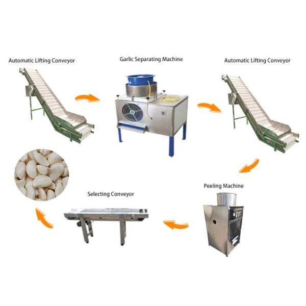 Industrial Automatic garlic peeling machine production line garlic processing machines