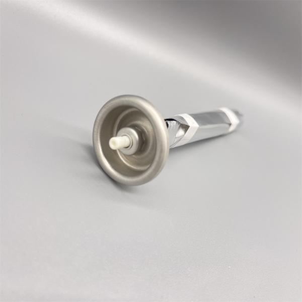 Advanced BOV Technology | Bag-On-Valve System | Ideal for Aerosol Products | 100ml Capacity