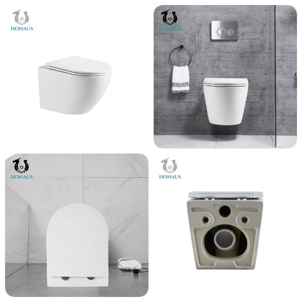 Economic Europe Wall Hung Toilet Bowl Rimless WC Washdown Type