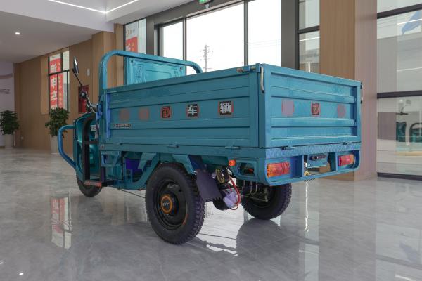 New Model Electro Tricycle 3 Wheel Motorized Popular Adults Cargo