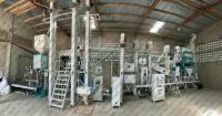Arroz que procesa 60 toneladas por la máquina cocida a medias del arroz del día