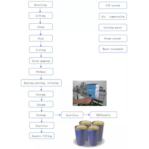 Semi автоматическая технологическая линия 0.5t/H томатной пасты