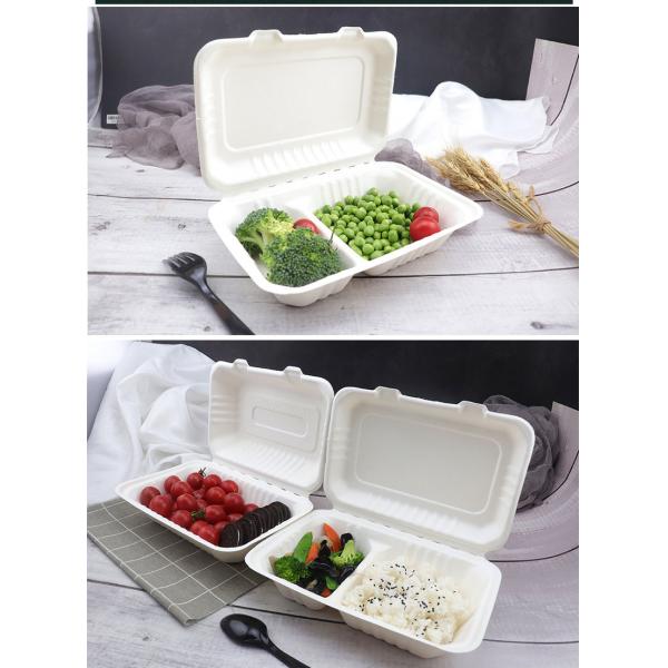 2 Biodegradable Eco коробки для завтрака раковины волокон сахарного тростника Compart дружелюбных