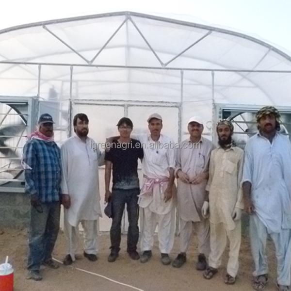 IGreen Small Single Layer Agricultural Greenhouse with Film Cover for Middle East & Gulf Countries and Desert Climate