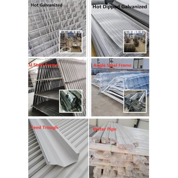 3/4 tier A Type Chicken Cage Chicken Egg Layer Cage For Poultry Farms