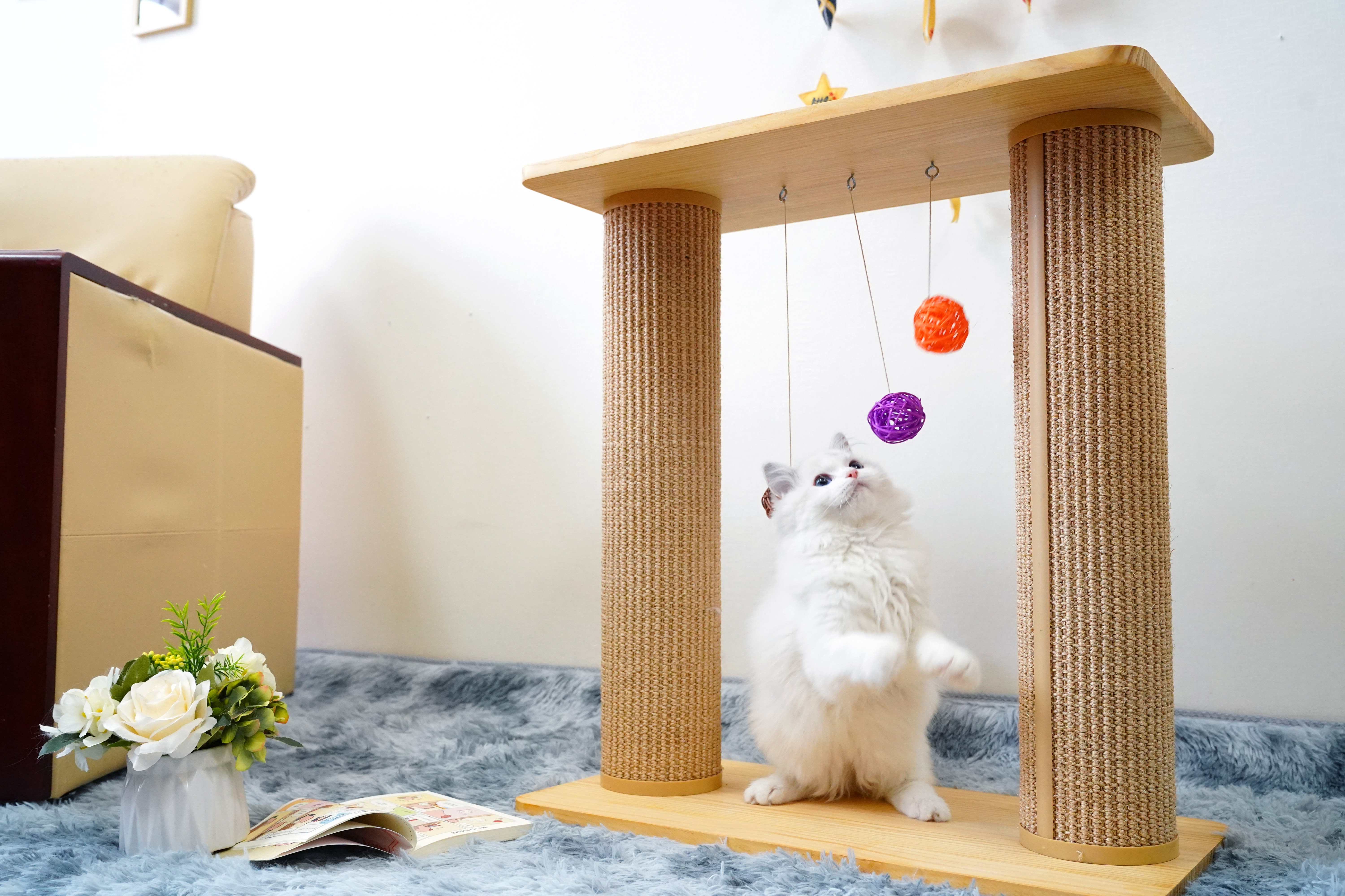 Дерево 60*30*63cm доски царапины кота двойного слоя твердое
