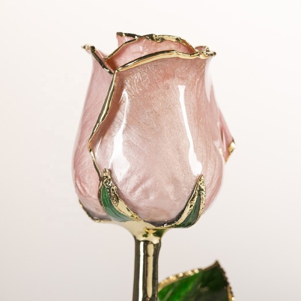 24k Gold Plated Rose Fresh Rose with Stem Present  Rose Gift Valentine Mother Day Eternal Rose Preserved Flower