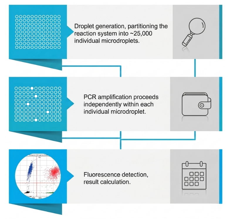 DiOne series All-in-One Droplet Digital PCR Systerm